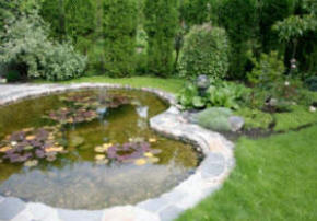 An easy garden pond to clean and maintain